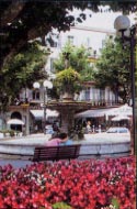 Cannes : Tourisme Cannes - Alpes-Maritimes