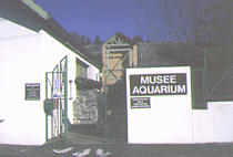 Muse aquarium