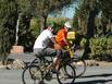 Camping 3* Mas des Lavandes - Hotel