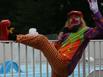 Camping 2* dArvor - Hotel