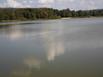 Camping les Pinasses - Hotel