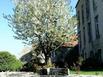 hotel le logis de flavigny