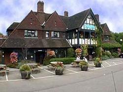 The Ely