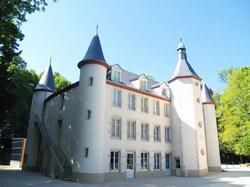 Hotel Chateau de la Motte Louchy-Montfand