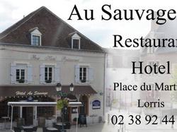 Hotel Au Sauvage Lorris