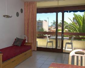 Appartment Saint-Cyprien