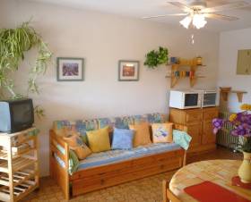 Appartment Saint-Cyprien