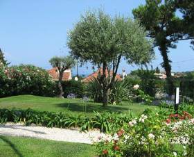 Appartement Antibes Juan-les-pins