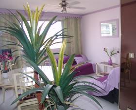 Appartment Nice