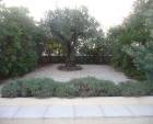 Appartment Cannes