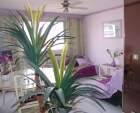Appartment Nice
