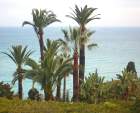 Appartment Menton