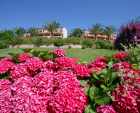 Appartement Solenzara